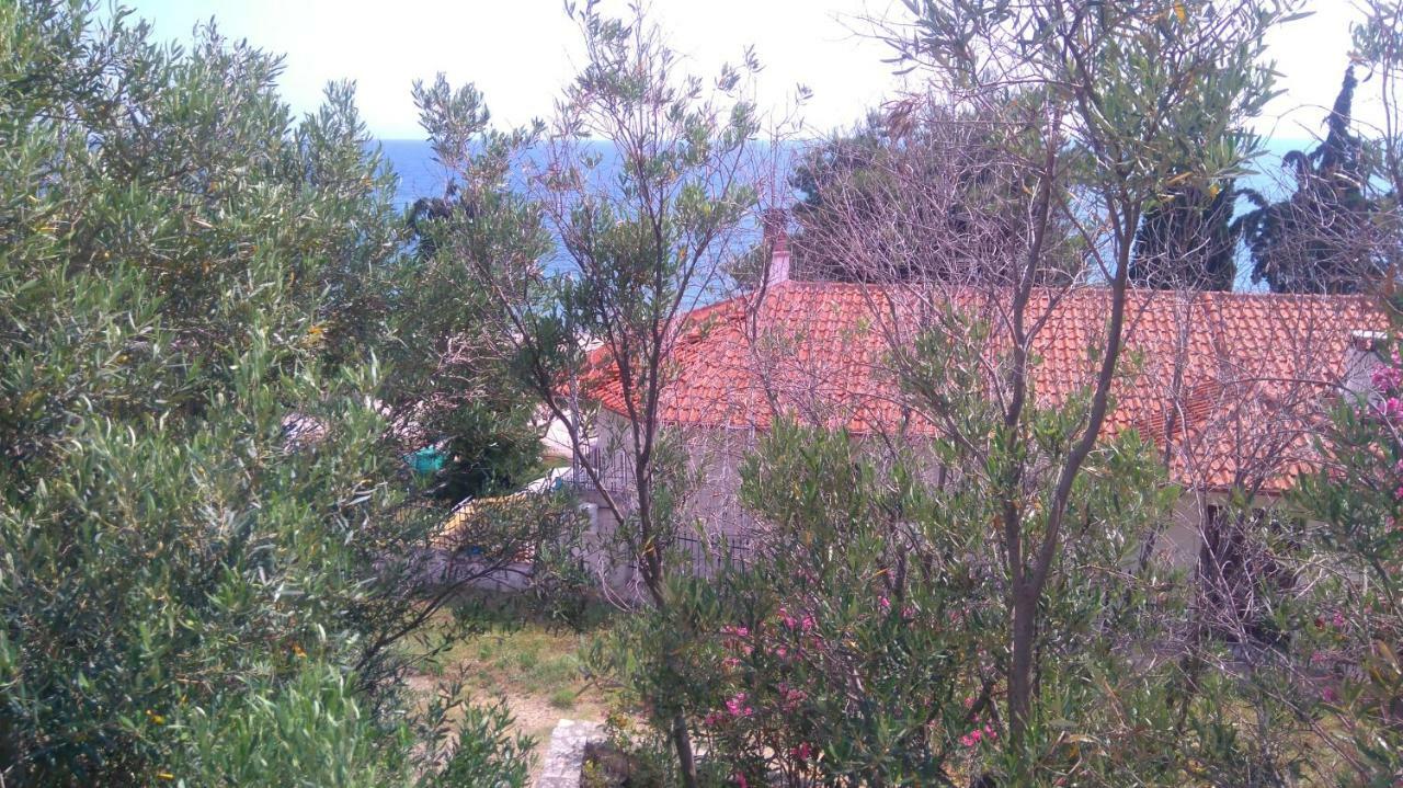 Maisonette Close To The Beach Nikiti  Dış mekan fotoğraf