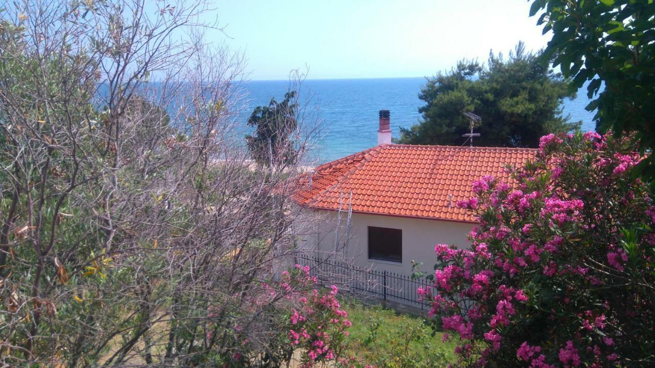 Maisonette Close To The Beach Nikiti  Dış mekan fotoğraf